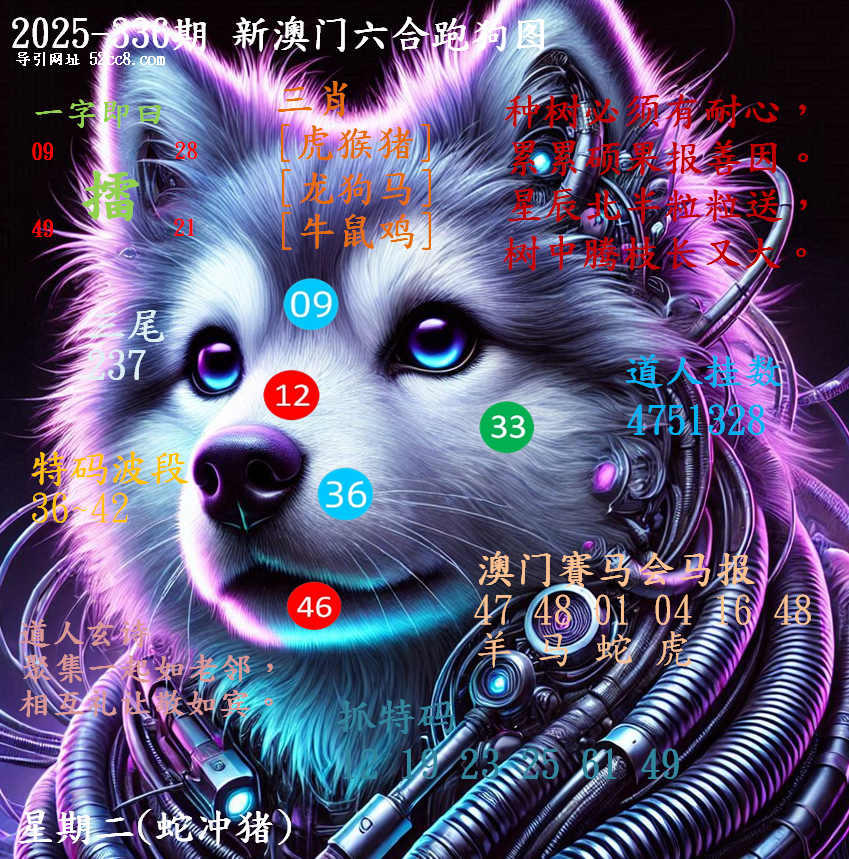 新澳门六合跑马图336期