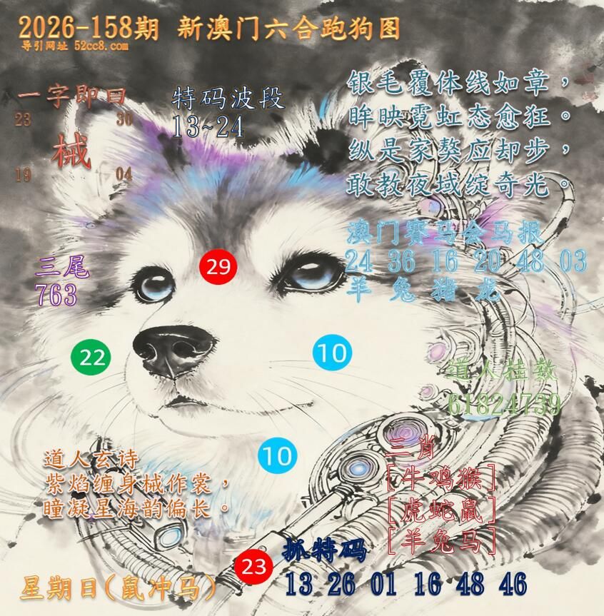 新澳门六合跑马图158期