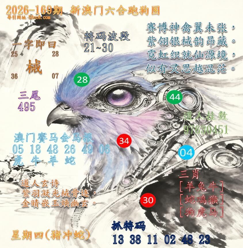 新澳门六合跑马图169期