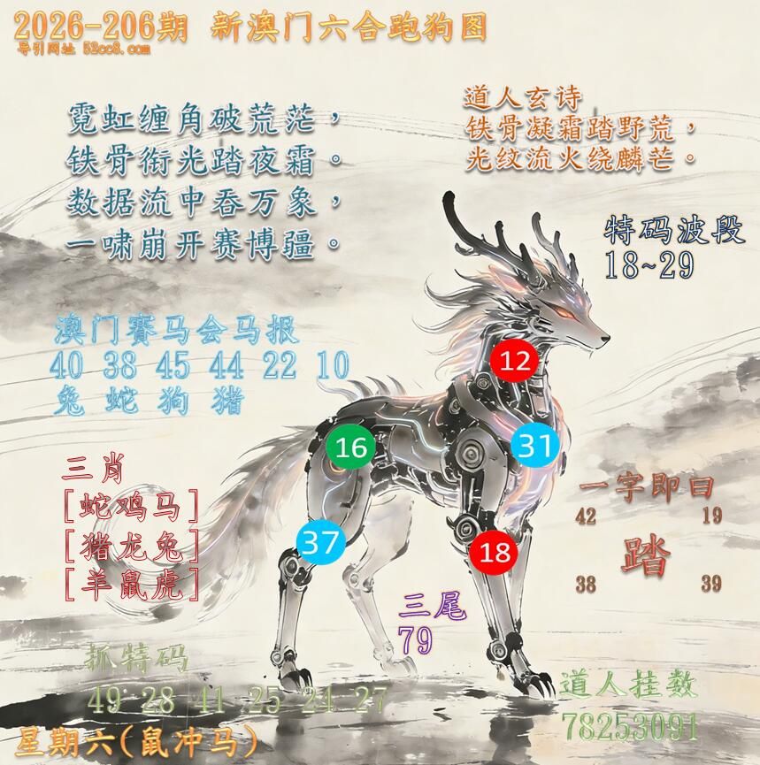 新澳门六合跑马图206期