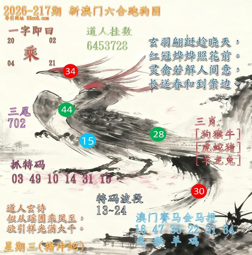 新澳门六合跑马图217期