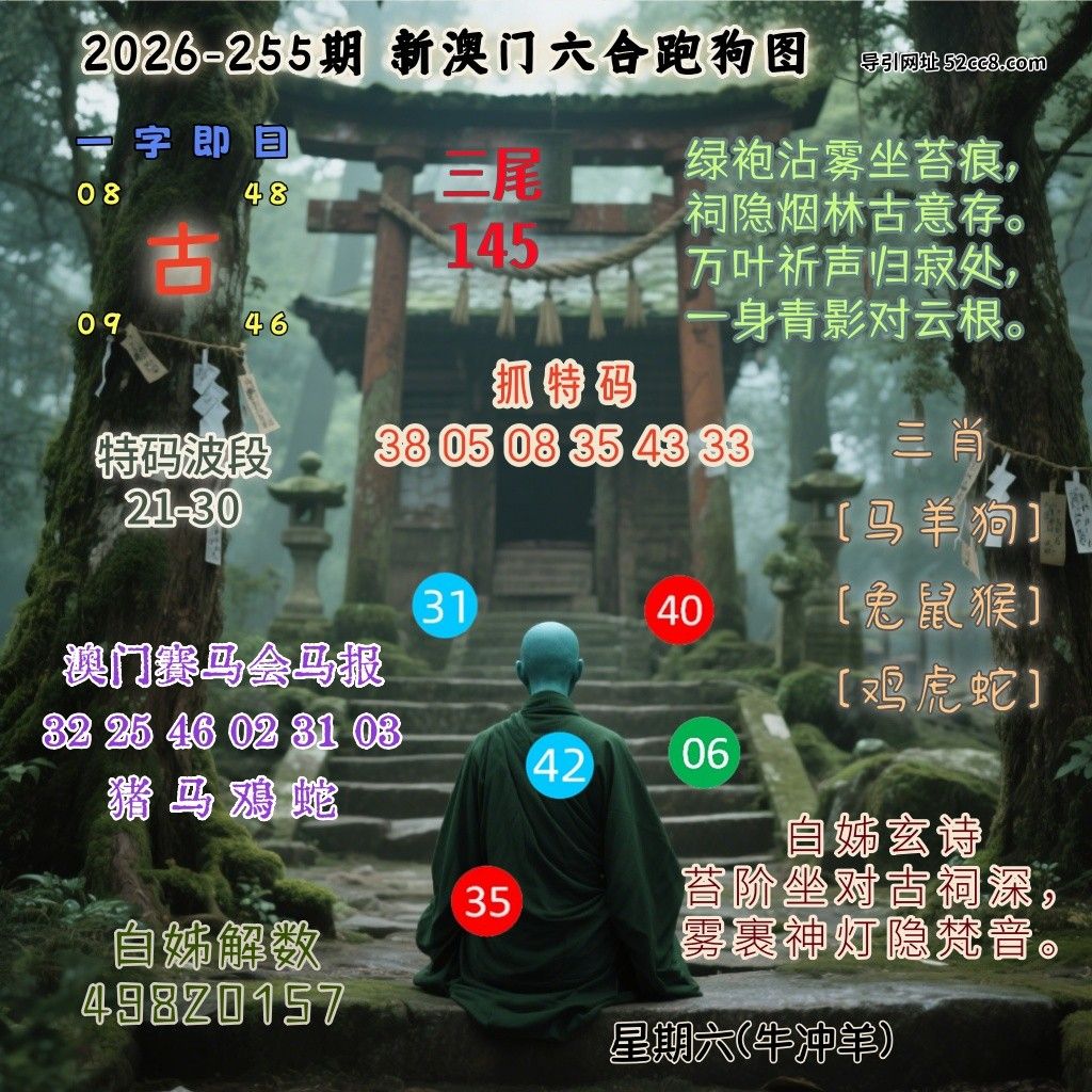 新澳门六合跑马图255期