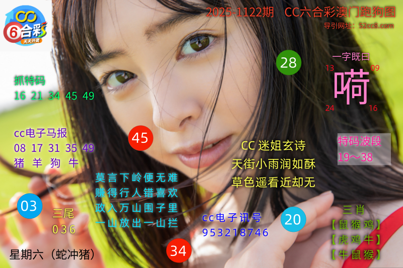 CC六合澳门跑马图1122期