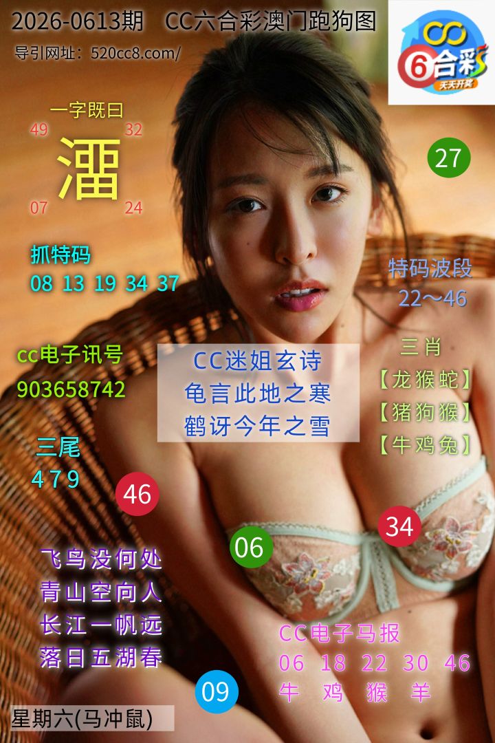 CC六合澳门跑马图0613期